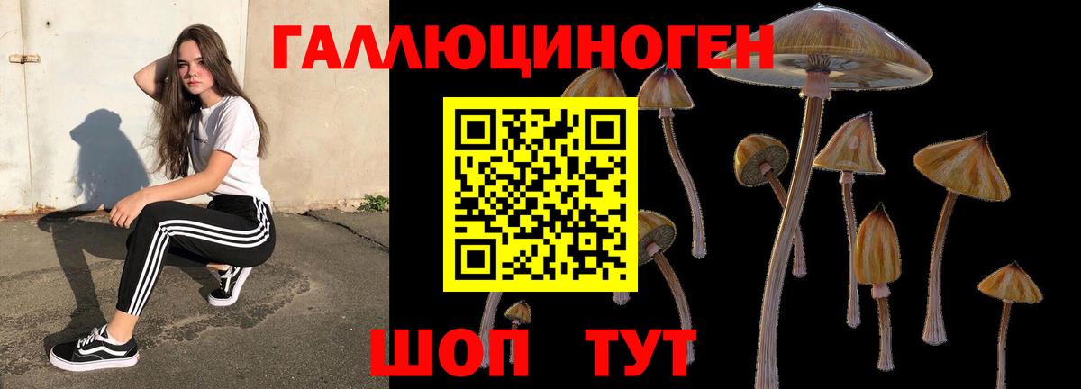 Псилоцибиновые грибы Cubensis  Вход с VPN  Луховицы  Галлюциногенные грибы Cubensis 